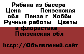 Рябина из бисера › Цена ­ 700 - Пензенская обл., Пенза г. Хобби. Ручные работы » Цветы и флористика   . Пензенская обл.